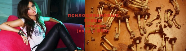 герыч Осинники