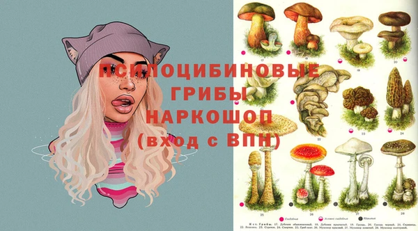 герыч Осинники