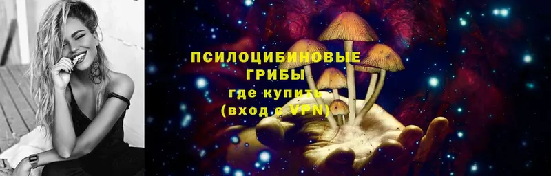 OMG сайт  Курчатов  Галлюциногенные грибы Cubensis 