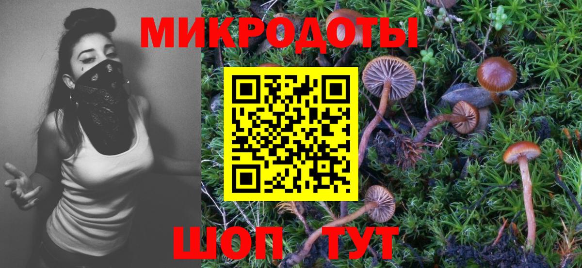 Псилоцибиновые грибы GOLDEN TEACHER  Вход с VPN  где продают   Псилоцибиновые грибы MAGIC MUSHROOMS  Курчатов 