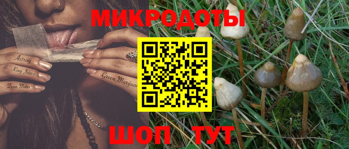 Псилоцибиновые грибы Magic Shrooms Курчатов